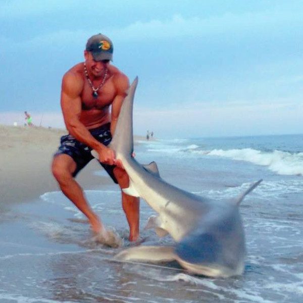 Elliot Sudal, Shark Elliot Sudal, Shark